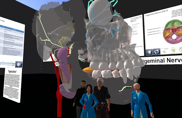 UWA and UK collaboration in Second Life