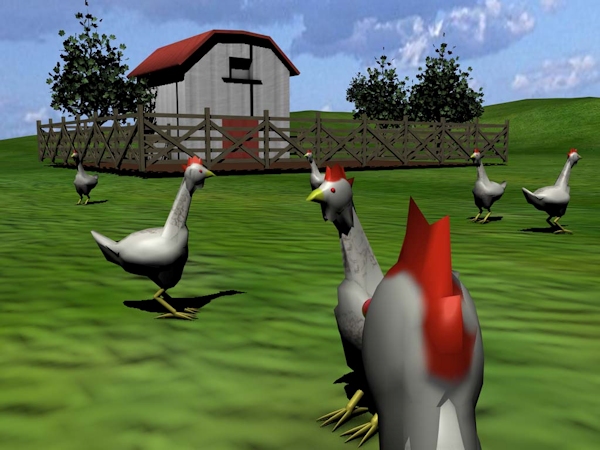 Second Livestock - Chicken view