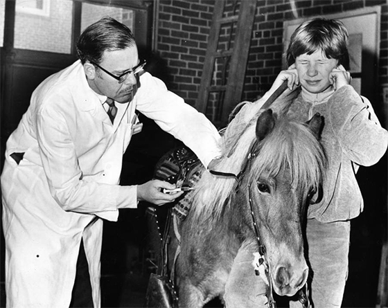 "11-year-old Joyce Beer, of Kensington, finds it hard to be brave when her pony, Teddy Bear, gets a tetanus inoculation from Dr. J. L. Kolodner at the first Equine Clinic conducted by the Pennsylvania Society for the Prevention of Cruelty to Animals in the garage of its shelter at 350 E. Erie ave."
